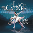 Spectacle Le Lac des Cygnes &agrave; SAUSHEIM @ Espace Dollfus & Noack - Billets & Places