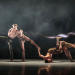 Spectacle ALONZO KING LINES BALLET à ANGERS @ QUAI T 900 - Billets & Places