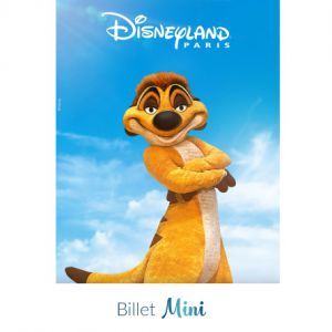 Billet 1 Jour / 2 Parcs Mini Billet 1 Jour / 2 Parcs Mini
