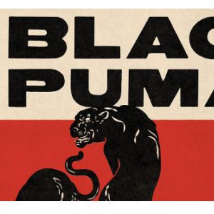 Black Pumas Black Pumas
