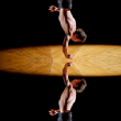 Spectacle Nartiste