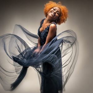 Affiche — Tina Thunder - Tribute Tina Turner