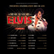 Concert THE MUSICAL STORY OF ELVIS &agrave; LILLE @ Th&eacute;&acirc;tre S&eacute;bastopol - Billets & Places