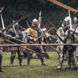 Visite PASS 2 JOURS - MEDIEVALES DE TIFFAUGES @ CHATEAU DE TIFFAUGES - Billets & Places