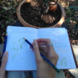 Atelier JOURNALISATION DE LA NATURE à VENELLES @ L'Étincelle - Billets & Places