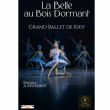 Spectacle LA BELLE AU BOIS DORMANT  &agrave; AIX LES BAINS @ THEATRE DU CASINO - Billets & Places