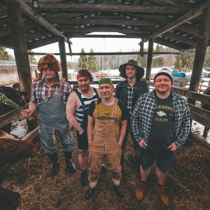 Steve N Seagulls Steve N Seagulls