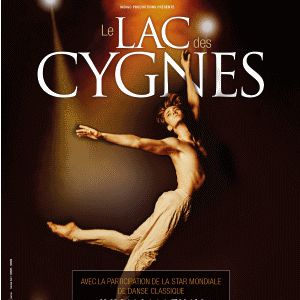 Le Lac Des Cygnes Le Lac Des Cygnes