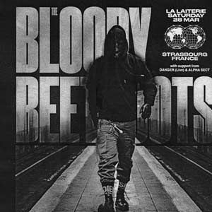 The Bloody Beetroots The Bloody Beetroots