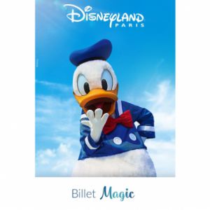 Billet 1 Jour / 2 Parcs Magic Billet 1 Jour / 2 Parcs Magic