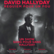 Concert DAVID HALLYDAY