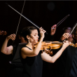 Concert Les Musicales du Golfe | Violon sublime en pays vannetais