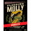 Concert FLOGGING MOLLY à Villeurbanne @ TRANSBORDEUR - Billets & Places