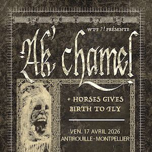 AK'CHAMEL + HORSES GIVES BIRTH TO FLY