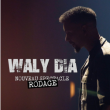 Waly Dia - Nouveau spectacle en rodage &agrave; LAGNY SUR MARNE @ Espace Charles Vanel - Billets & Places