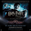 Projection HARRY POTTER ET LE PRINCE DE SANG-M&Ecirc;L&Eacute; EN CINE-CONCERT