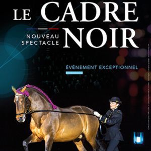Le Cadre Noir De Saumur