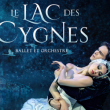 Spectacle LE LAC DES CYGNES