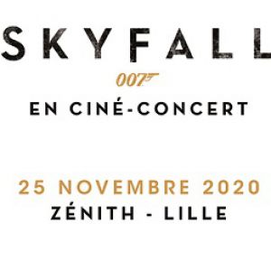 Skyfall Skyfall