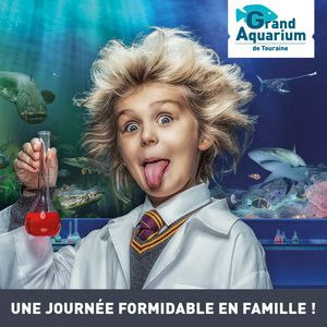 Billet Pass Saison 2020 Billet Pass Saison 2020