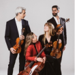 Concert Quatuor Ludwig - Beethoven, Shostakovich à LUNÉVILLE @ Chapelle - Billets & Places