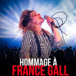 Concert HOMMAGE &Agrave; FRANCE GALL &agrave; DUNKERQUE @ Le Kursaal - Billets & Places