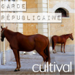 Au Coeur De La Cavalerie De La Garde Républicaine