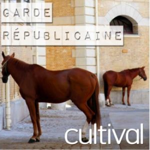 Au Coeur De La Cavalerie De La Garde Républicaine Au Coeur De La Cavalerie De La Garde Républicaine