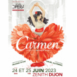 Spectacle Carmen - Dijon