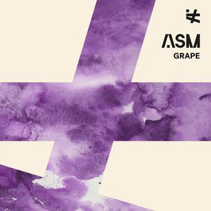 Rhino + Asm - A State Of Mind Rhino + Asm - A State Of Mind