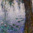 Visite English Guided Tour  Masterpieces, from Monet to Picasso
