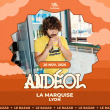 Concert ANDEOL