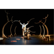 Spectacle Nanoulak, l'ours qui danse