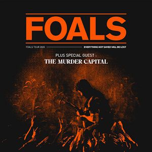 Foals Foals