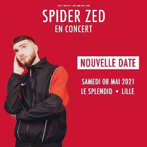 Spider Zed Spider Zed