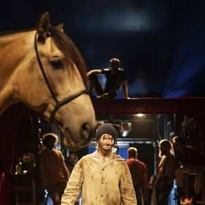 Saison De Cirque Saison De Cirque