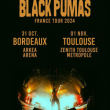 Concert BLACK PUMAS