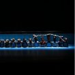Spectacle Noé - Malandain Ballet Biarritz @ Gare du Midi - Billets & Places
