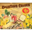 Concert COUNTING CROWS