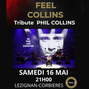 Feel Collins - Tribute Phil Collins