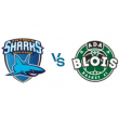 Match ANTIBES - BLOIS @ Azurarena Antibes - Billets & Places
