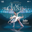 Spectacle LE LAC DES CYGNES