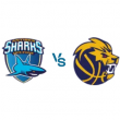 Match SHARKS - EVREUX &agrave; ANTIBES @ Azurarena Antibes - Billets & Places