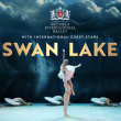 Spectacle SWAN LAKE. à NAMUR @ GRANDE SALLE - THEATRE DE NAMUR - Billets & Places