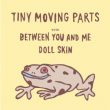 Concert Tiny Moving Parts + Between You And Me + Doll Skin