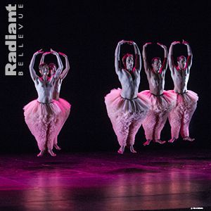 Tutu - Chicos Mambo, Philippe Lafeuille Tutu - Chicos Mambo, Philippe Lafeuille