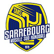 Match SEPTORS - SARREBOURG à SARAN @ HALLE DES SPORTS JACQUES MAZZUCA - Billets & Places