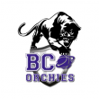 Match STB Le Havre - BC ORCHIES