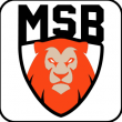 Match SIG STRASBOURG / LE MANS  @ LE RHENUS - Billets & Places