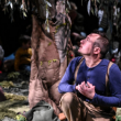 Spectacle Sous l'arbre
